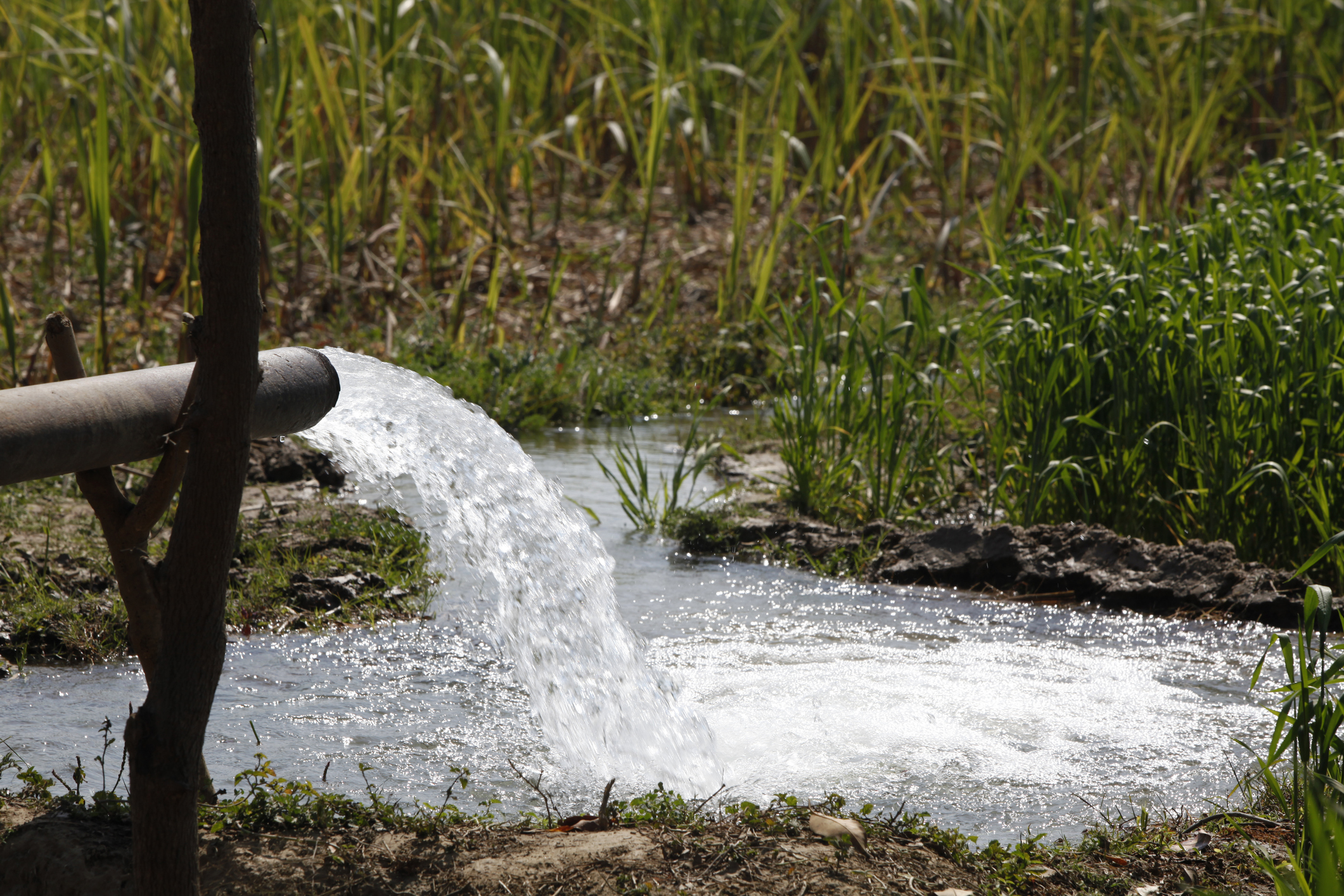 Tratamiento de aguas residuales