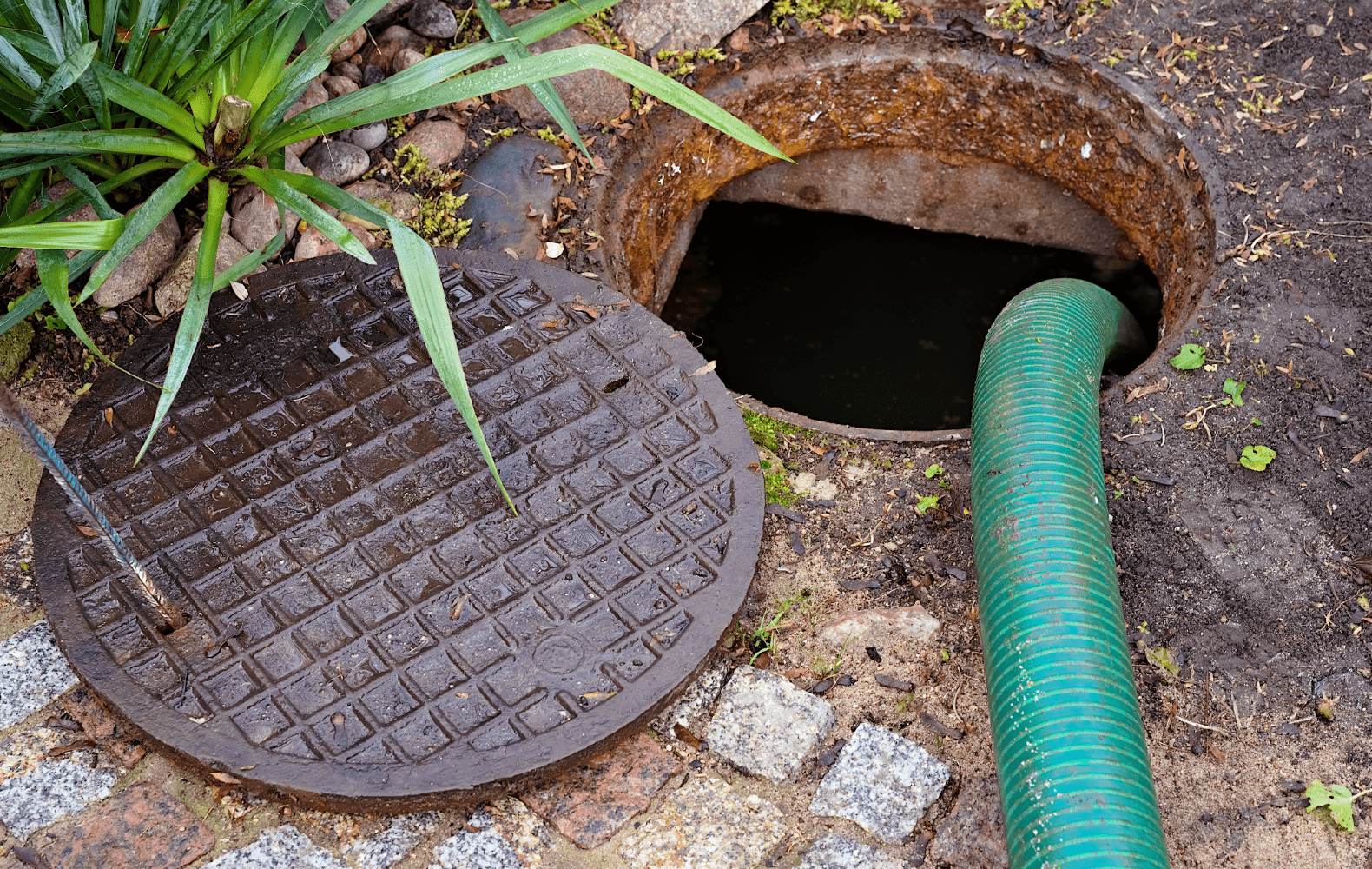Problemas comunes en las fosas sépticas